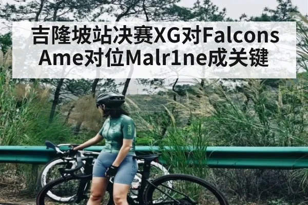 吉隆坡站决赛XG对Falcons Ame对位Malr1ne成关键